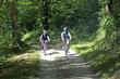 ballade nature en foret de brotonne