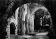 abbaye de jumieges