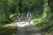 vélo en foret de normandie