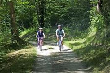 vélo en foret de normandie