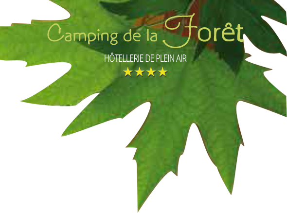 Location de Chambres lits simples ou lit double au camping de la forêt à jumièges