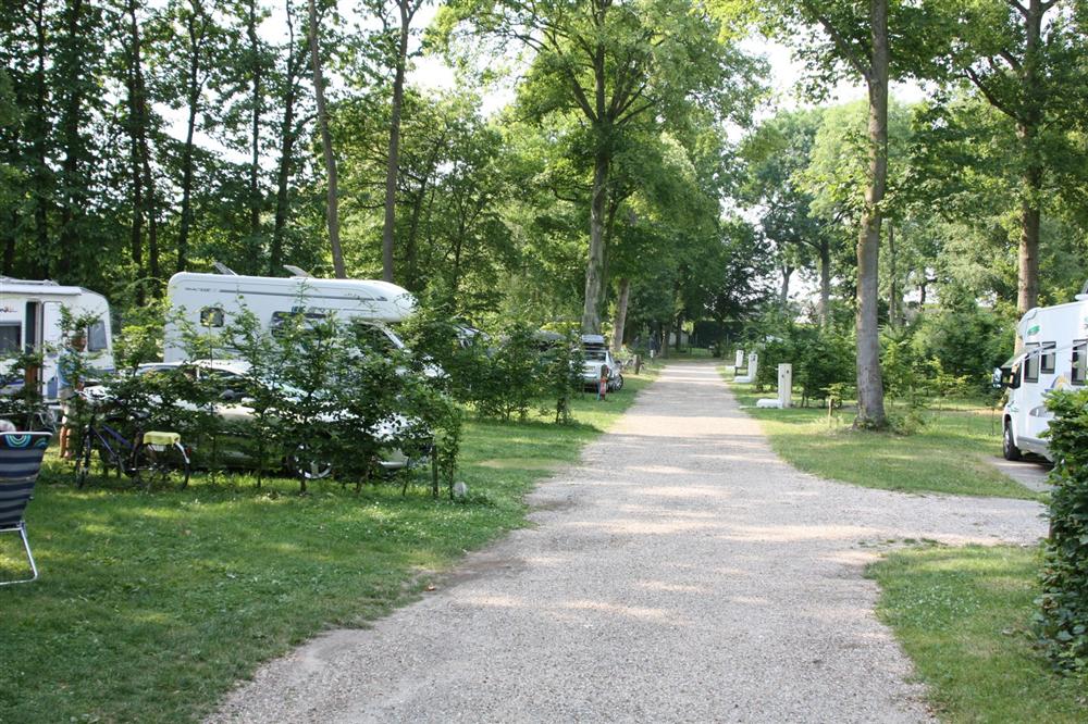 Offres spéciales au Camping de la Forêt de Jumièges, camping 4 étoiles, hôtellerie de plein air avec piscine couverte, location chalets et mobil home en Seine Maritime, proche de Rouen