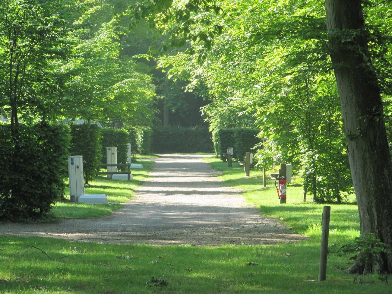 Location emplacement camping au camping de la Forêt de Jumièges, camping 4 étoiles, hôtellerie de plein air avec piscine couverte en Seine Maritime, proche de Rouen