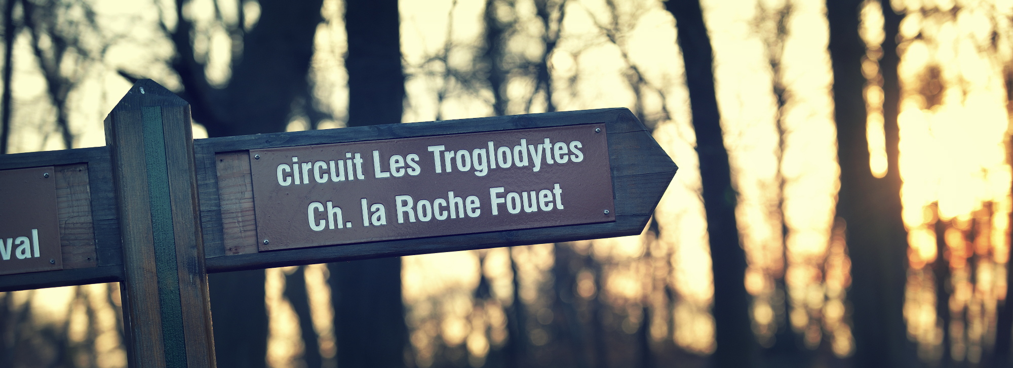 Balades et randonnées proches du Camping de la Forêt de Jumièges, camping 4 étoiles, hôtellerie de plein air avec piscine couverte, location chalets et mobil home en Seine Maritime, proche de Rouen
