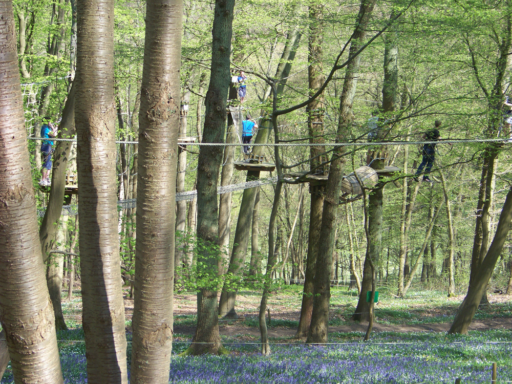Accrobranche Espace Normandie Aventure proche du Camping de la Forêt de Jumièges, camping 4 étoiles, hôtellerie de plein air avec piscine couverte, location chalets et mobil home en Seine Maritime, proche de Rouen