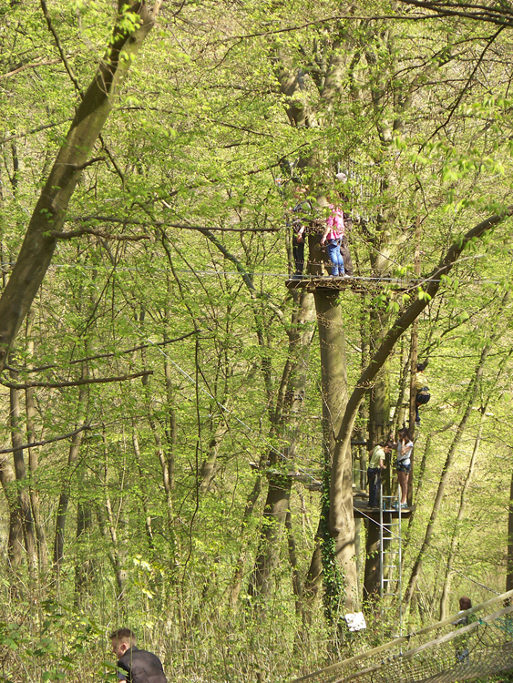 Accrobranche Espace Normandie Aventure proche du Camping de la Forêt de Jumièges, camping 4 étoiles, hôtellerie de plein air avec piscine couverte, location chalets et mobil home en Seine Maritime, proche de Rouen